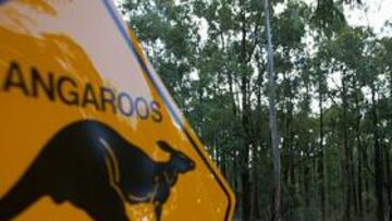 <b>EL FINAL. </b>carlos Sainz ha dicho adiós sin poder participar en la última prueba del Mundial.