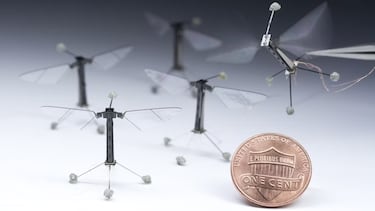 A simple vista parece un mosquito pero la realidad estremece hasta las potencias militares más avanzadas