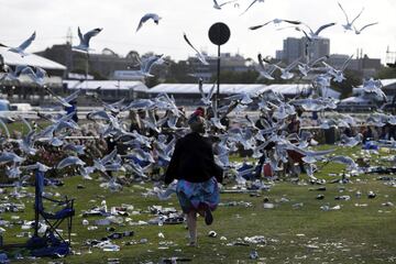 Fiesta y mucho glamour en la Melbourne Cup