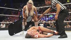 Cr&oacute;nica de WWE Survivor Series.