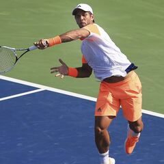 Verdasco frena a Bautista