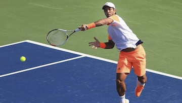 Verdasco frena a Bautista