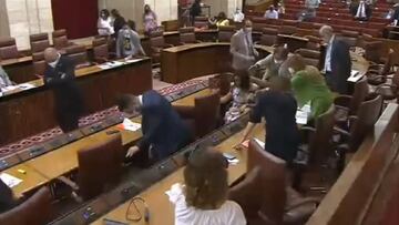 Una rata se cuela en el Parlamento andaluz y desata el caos: atentos al grito