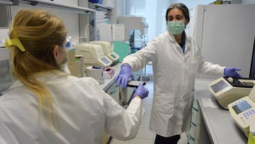 Las investigaciones para encontrar f&aacute;rmacos eficaces contra el coronavirus contin&uacute;an en todo el mundo. 