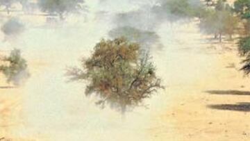 <b>SIN ESCOLLOS. </b>Peterhansel parece tener ya franco el camino hacia un nuevo triunfo en coches.