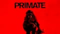 Primate Crítica Review