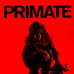 Crítica de ‘Primate’, una gamberrada protagonizada por un mono asesino