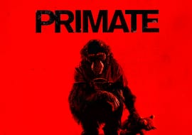 Crítica de ‘Primate’, una gamberrada protagonizada por un mono asesino