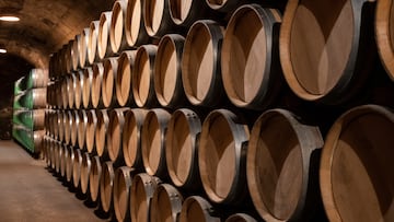 While you may most readily associate southern Europe with winemaking, you need to look further afield when it comes to the ancient history of this beverage.