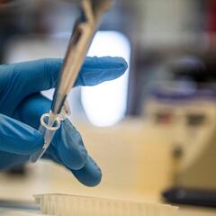 El tocilizumab reduce la mortalidad de la COVID