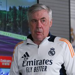 Ancelotti: “¿Simeone? Puede que sean espinas que duelen...”
