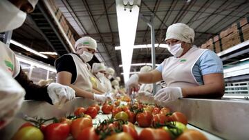 En primer semestre de 2021 se recuperaron más de 400 mil empleos formales: IMSS