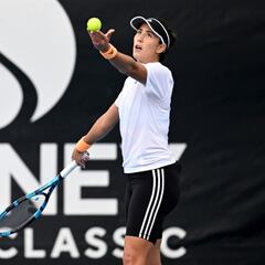 "El caso Djokovic es un show"