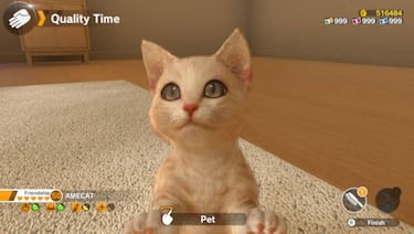 Little friends: Dogs & Cats saldrá el 28 de mayo en Switch