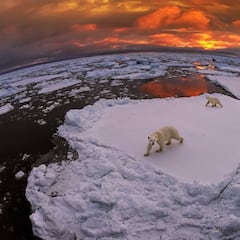 La enigmática ‘Isla del Oso’ está rodeada de aguas radioactivas y extrañas algas: hay un submarino soviético condenado en la zona