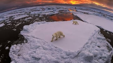 La enigmática ‘Isla del Oso’ está rodeada de aguas radioactivas y extrañas algas: hay un submarino soviético condenado en la zona