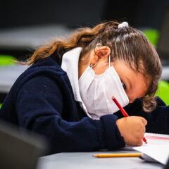 Convocatoria SAID 2022-2023: requisitos, calendario y cómo hacer el registro