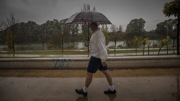 Un hombre camina protegido de la lluvia con un paraguas.