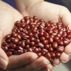 El superalimento que baja el colesterol y previene la anemia