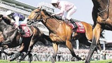 <b>EPSOM DERBY. </b>'Sir Percy' (derecha) ganó ayer la 227 edición del Derby de Epsom, la carrera más importante del mundo. 'Sir Percy', que costó 23.500 euros, se llevó un millón de premio.