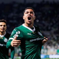 ‘Tigrinho’ tira la puerta