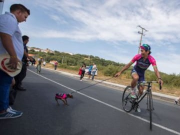 Lampre's Japonese cyclist Yukiya Arashiro walking his dog Corin prior to the 7th stage of the 71st edition of "La Vuelta" Tour of Spain, a 158,5 km route between Maceda to Puebla de Sanabria on August 26, 2016. / AFP PHOTO / JAIME REINA