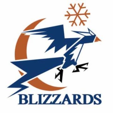 Blizzard | Wizards