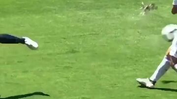 Darmian fulmina a pequeño pájaro con un balonazo