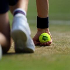 La desorbitada cifra que se llevarán en Wimbledon por perder un partido