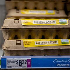 Goodbye to egg price cuts: Trump repeatedly promised to lower food prices, but instead “focused on mass deportations”