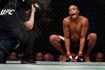 La tranquilidad de Anderson Silva, como siempre lo ha demostrado