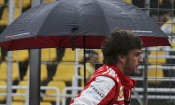 Fernando Alonso.