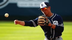 José Cerda, de Toros de Tijuana a Tampa Bay Rays