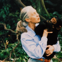 La dieta basada en plantas de Jane Goodall, la reina de los chimpancés, que fue clave para una vida larga y saludable