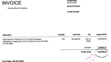 La desorbitada cifra que tuvo que pagar la española que regresó desde Tailandia en avión medicalizado