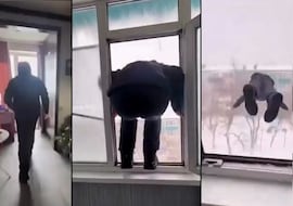 Se tira desde la ventana de un piso de varias plantas y no se hace ni un rasguño, con un truco difícil de creer