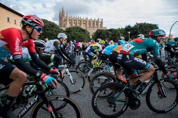 El pelotón pasando por delante de La Seu durante el Trofeo Palma