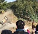 Espeluznante accidente de un piloto belga en el Rally de Chile