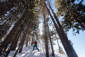 Skimo en Pal Arinsal