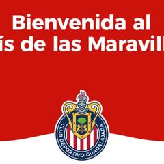 Alicia Cervantes, primer refuerzo de Chivas femenil