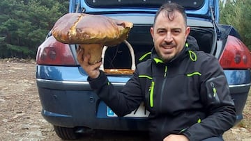 Recogen un boletus gigante de 4 kilos: puede ser el más grande de España