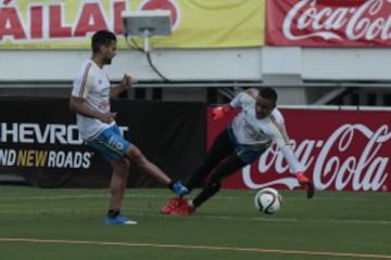 Colombia recibirá este jueves 8 de octubre a Perú en el inicio de las Eliminatorias al Mundial de Rusia 2018