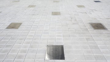 La Comisión Social propone una modificación de esta.