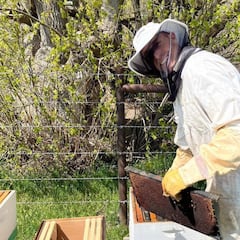 La nueva vida de Jaycee Carroll en Utah