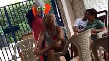Carlos Valderrama, quien cumplió 57 años, se reencontró con su amigo Faustino Asprilla que se disfrazó de marimonda para sorprenderlo en su cumpleaños.