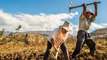 Fertiabono: quiénes pueden solicitar esta ayuda y de cuánto son los montos