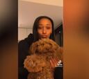 Peleteiro enamora a los fans de TikTok con este vídeo enseñando a su perrito 'Tokyo'