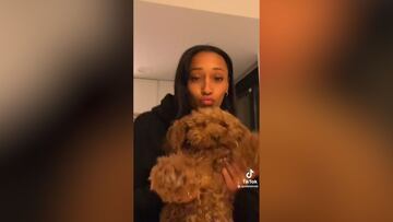 Peleteiro enamora a los fans de TikTok con este v¨ªdeo ense?ando a su perrito 'Tokyo'