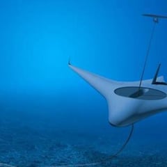 El Pentágono está creando misteriosos depredadores submarinos de guerra que buscan camuflarse con el animal original