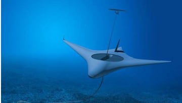 El Pentágono está creando misteriosos depredadores submarinos de guerra que buscan camuflarse con el animal original